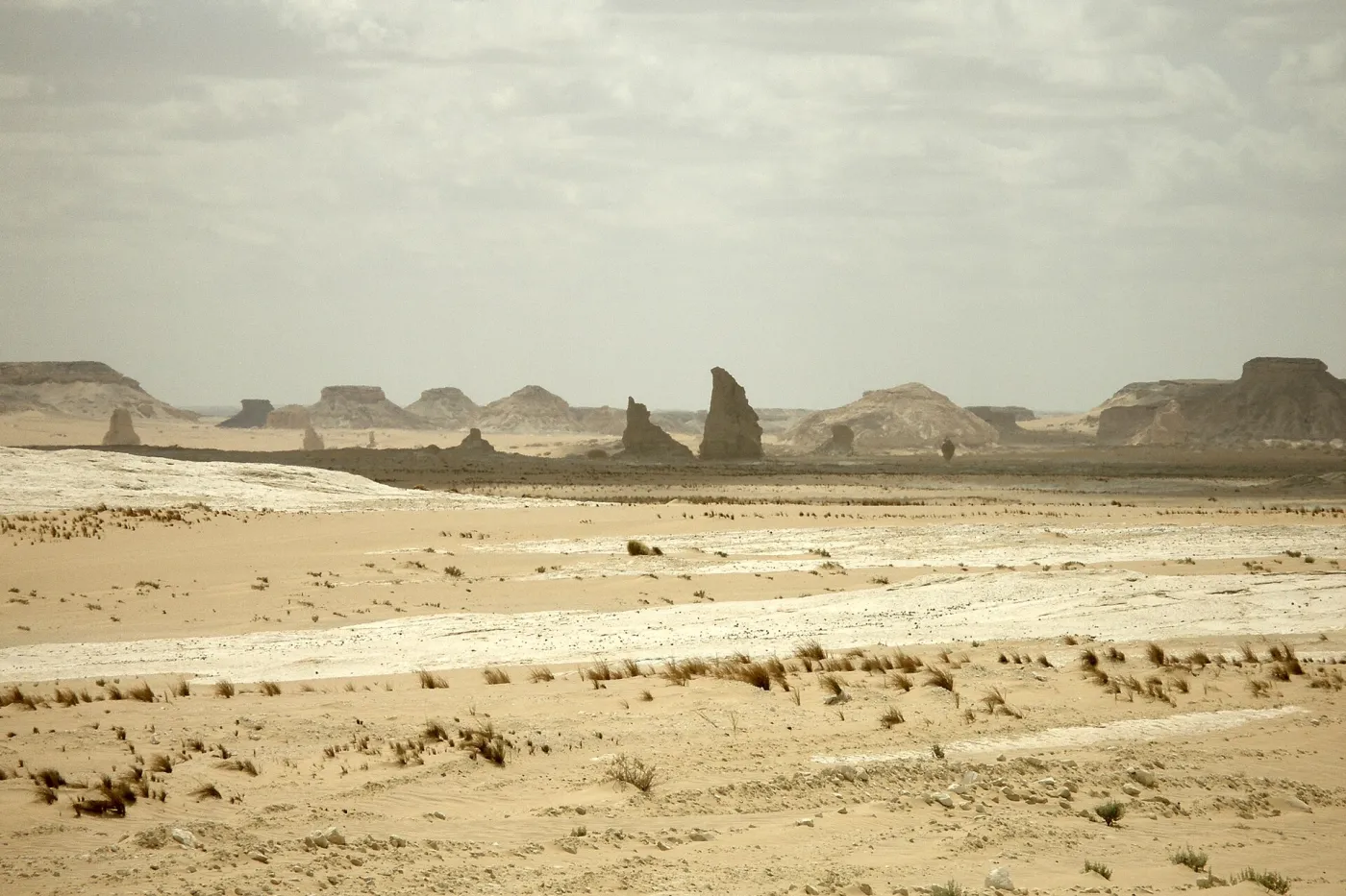 Palm groves and freshwater springs in Siwa Oasis