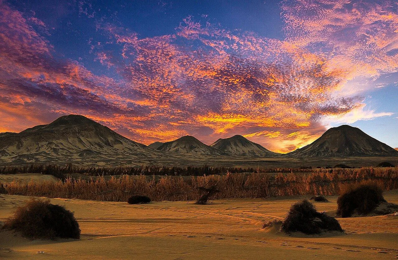 The Black Desert