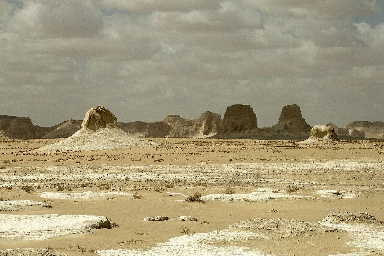 White & Black Desert Overnight Safari