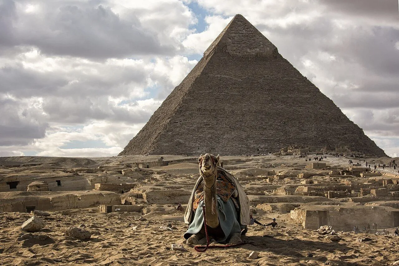 Grand Egyptian Museum (GEM) Guided Tour