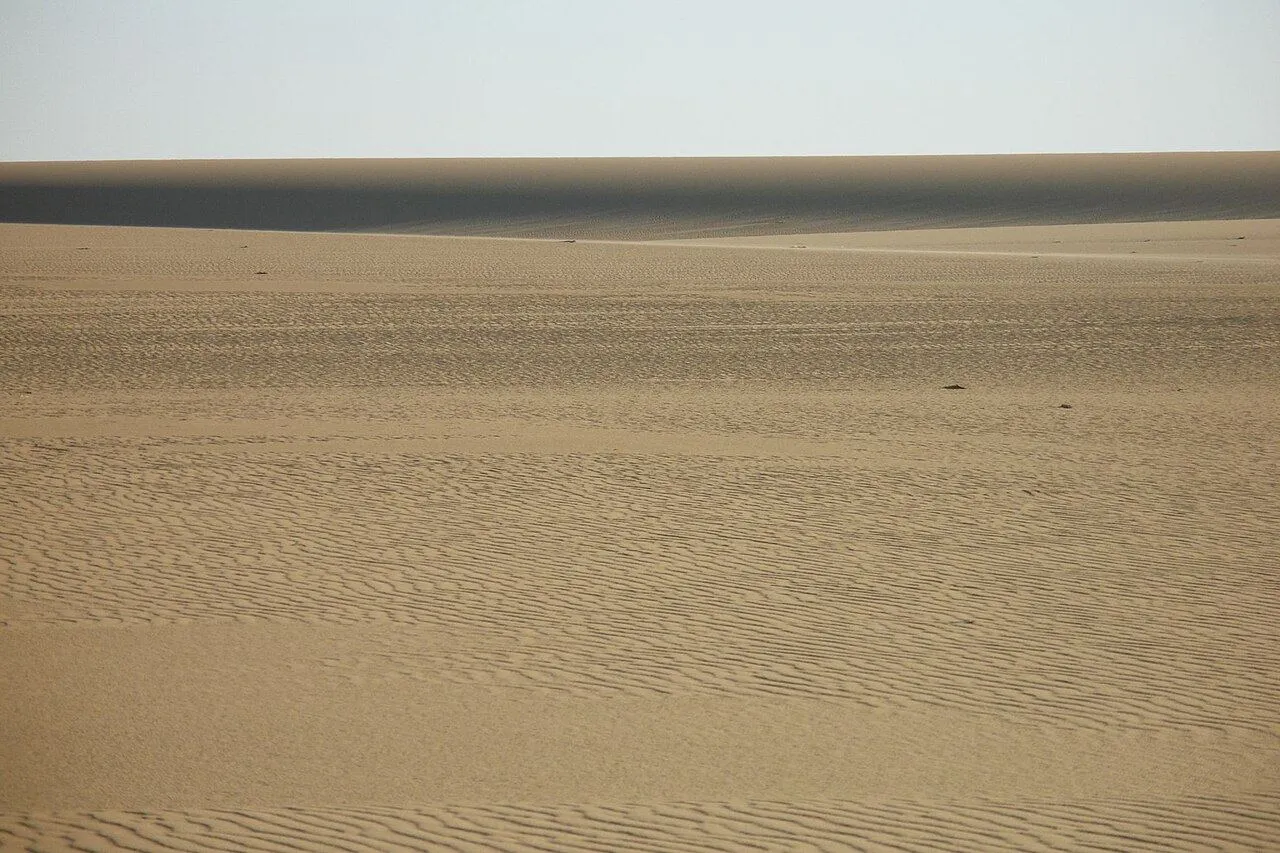 Desert landscape near Dakhla