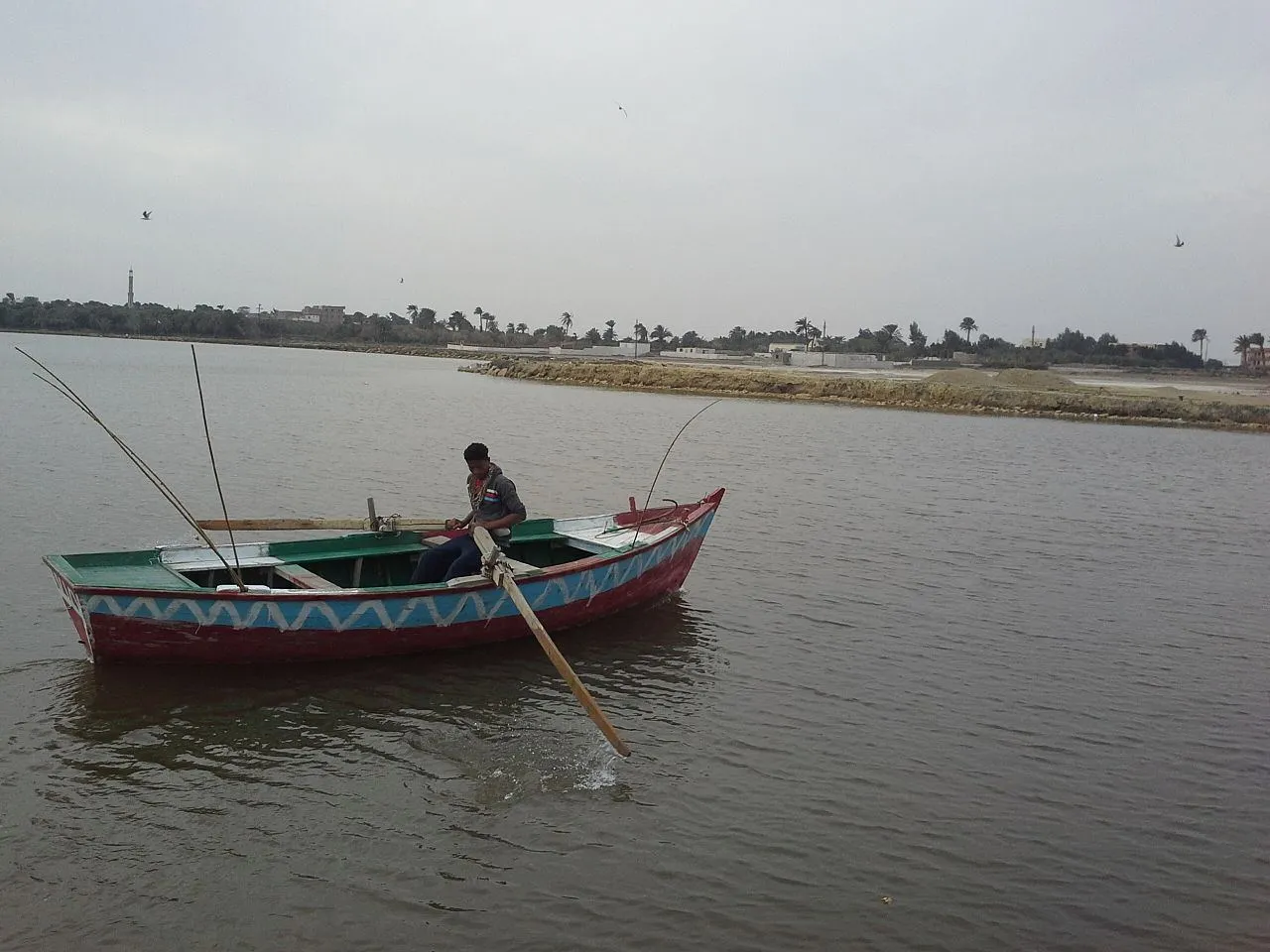 Fayoum Oasis and Wadi Al Rayan Guided Tour