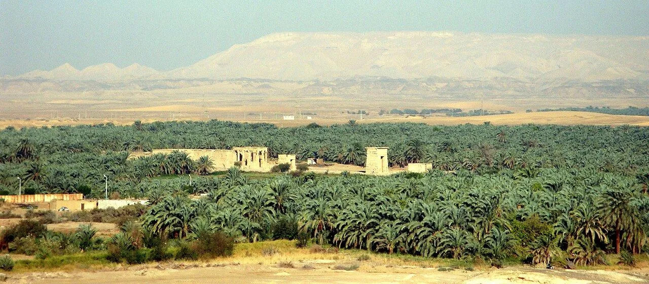 Kharga Oasis panorama