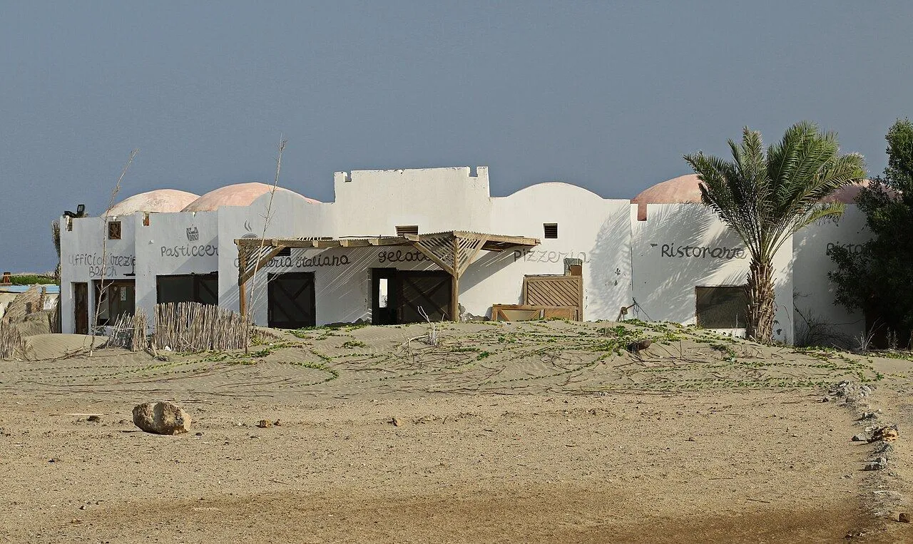 Marsa Alam: Dolphin House Reef Trip