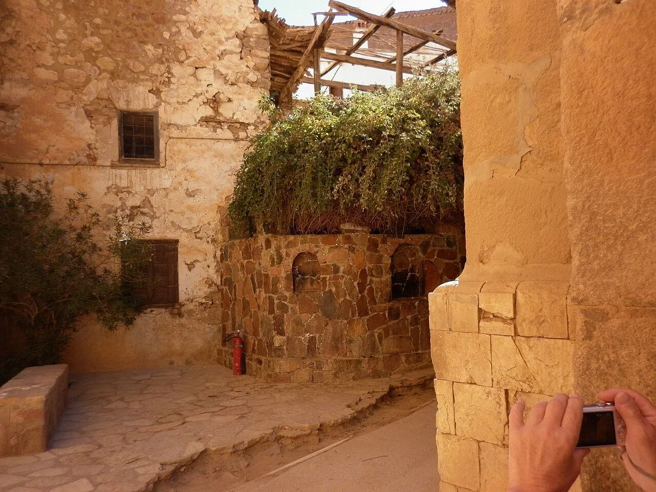 The Burning Bush