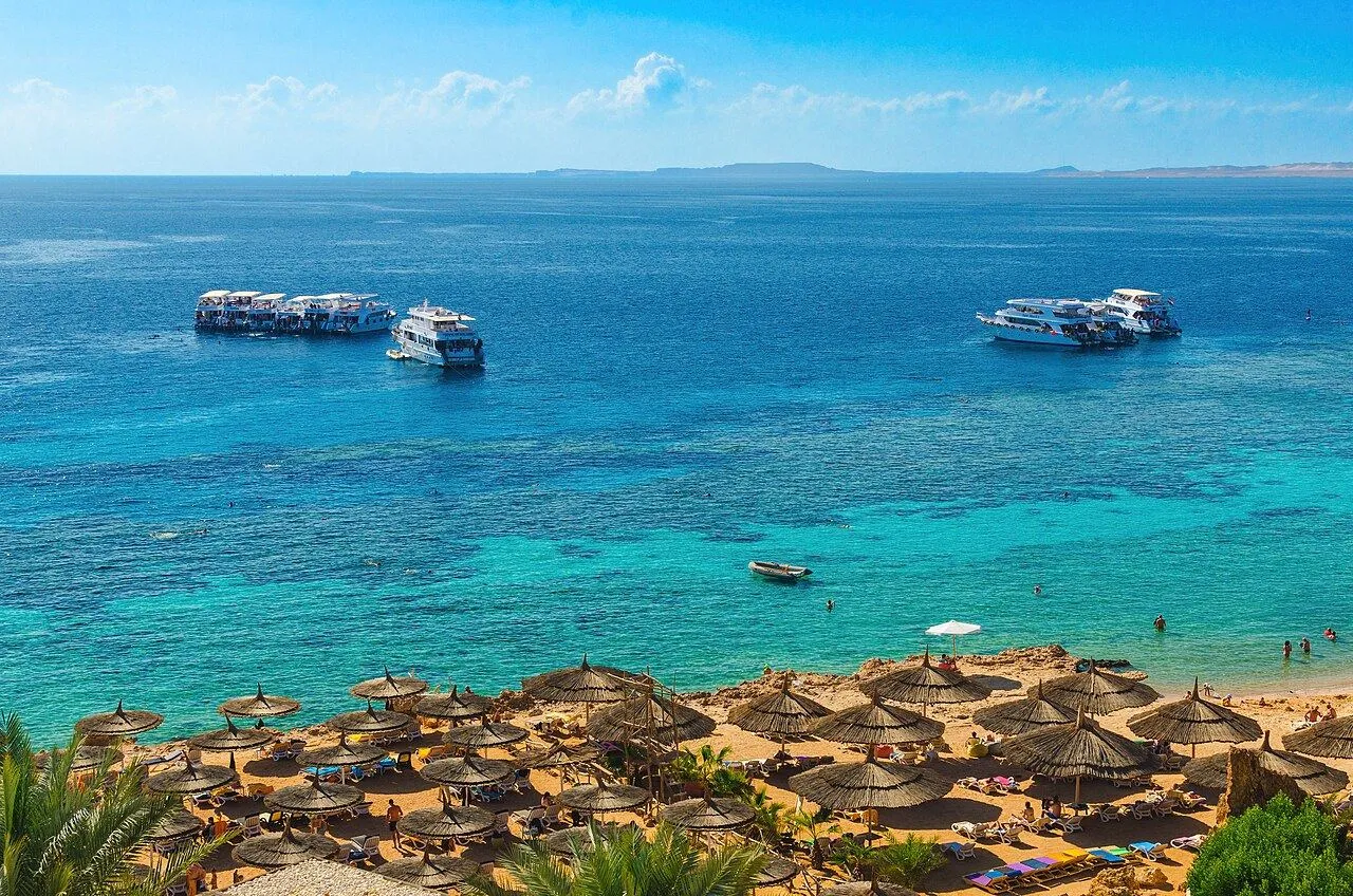 Tiran Island Snorkeling Day Trip