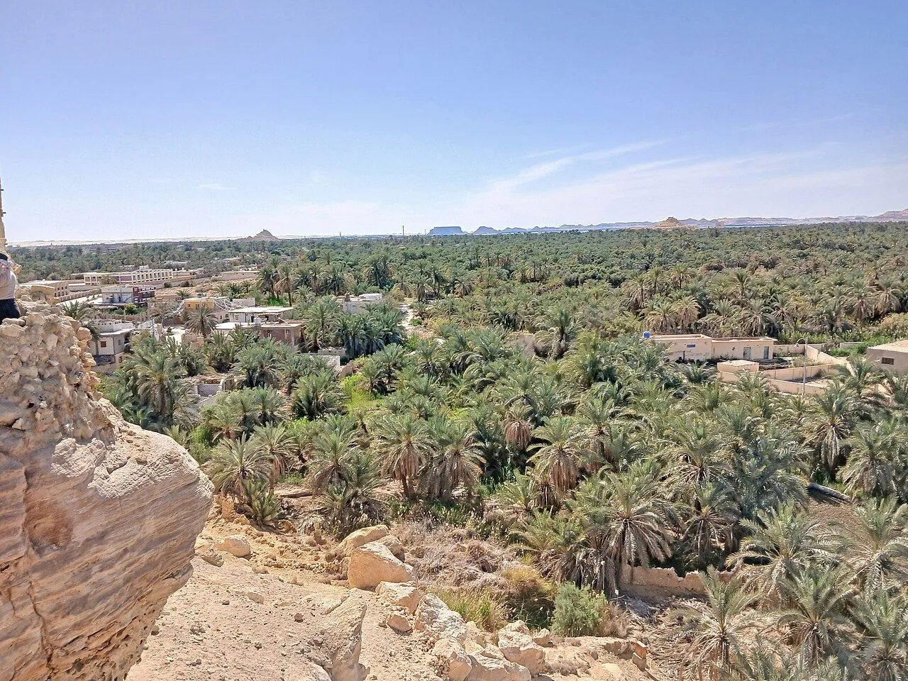 Palm groves of Siwa