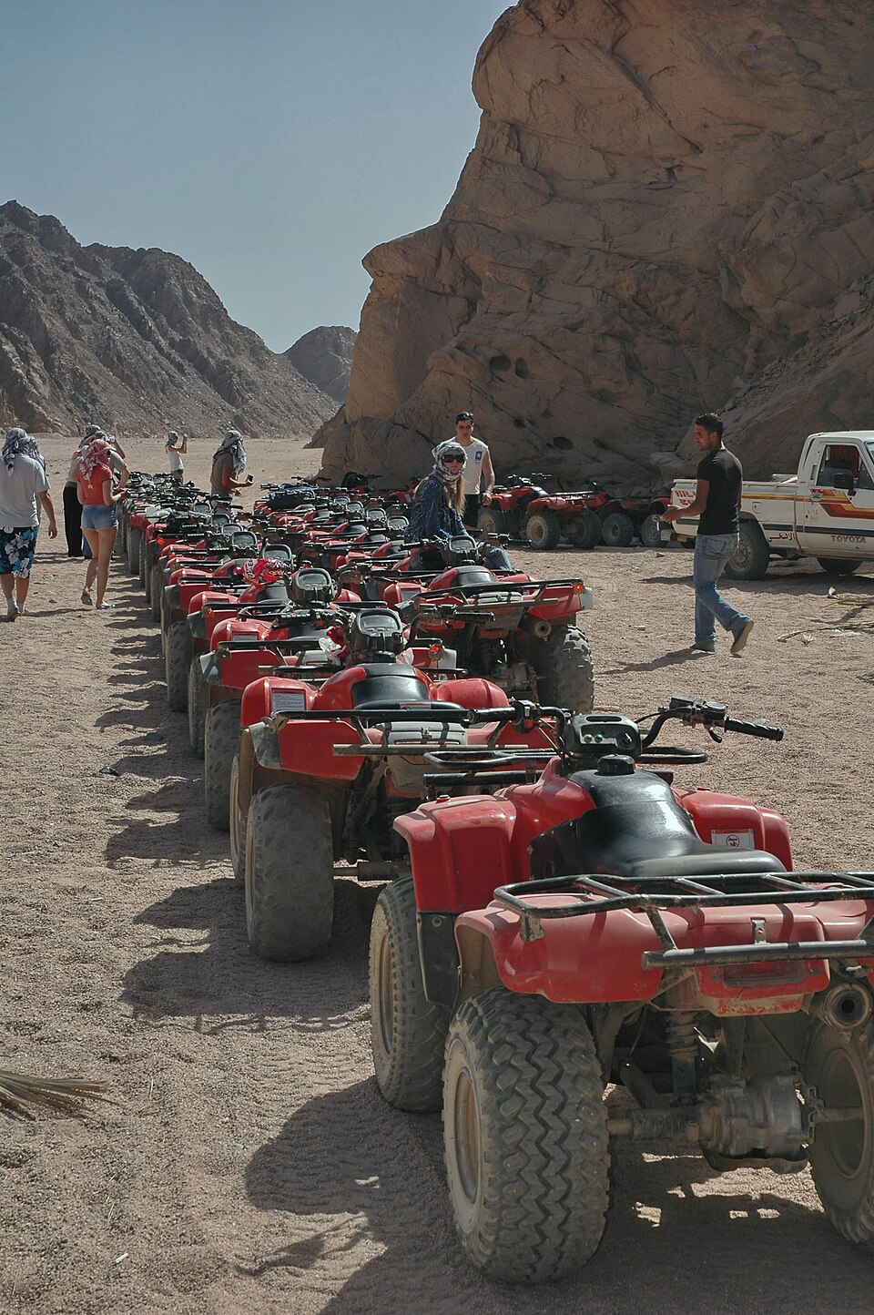 Quad Bike & Dune Buggy