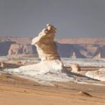 20201106-IMG_8656
