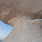 20201107-IMG_9038