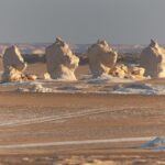 20201107-IMG_9133