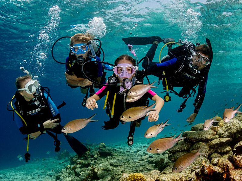 scuba diving in the red sea