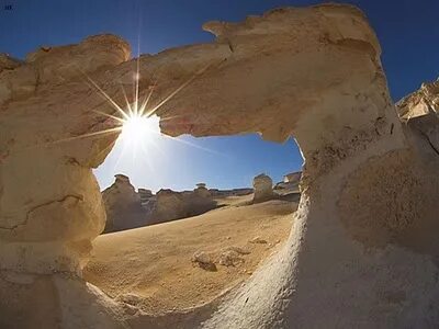 Oasis Desert Adventure