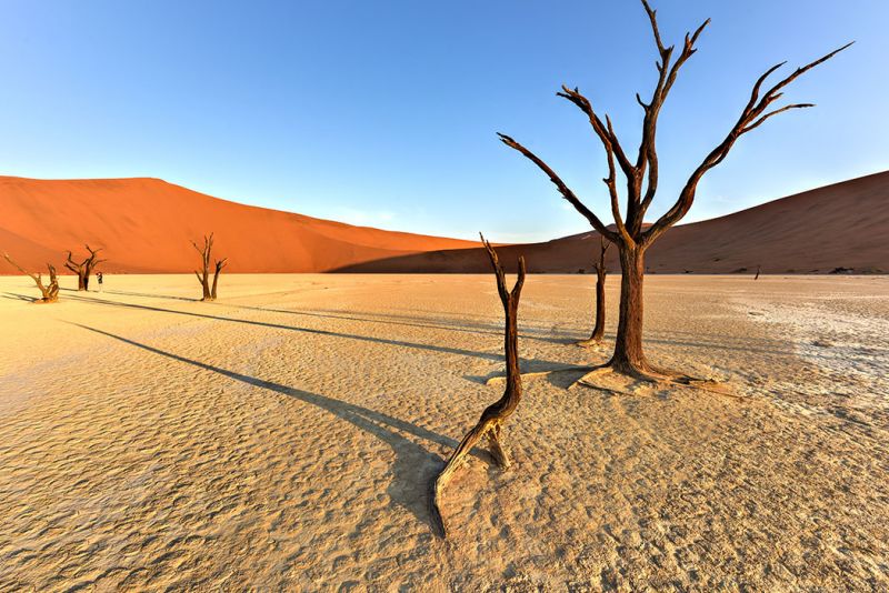 Sahara Desert, Arabian Desert, Gobi Desert, Atacama Desert, Mojave Desert, Sonoran Desert, Kalahari Desert, Great Basin Desert, Namib Desert, Patagonian Desert,