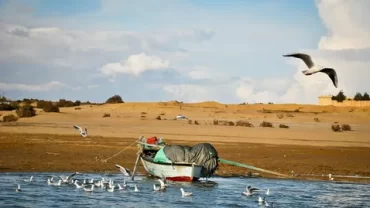 Wadi Rayan Protected Area, El Fayoum Depression, Wadi Rayan Nature Reserve, Wadi El Assuit canyon, Wadi El Hitan (Valley of Whales), Rayan Orchards Lodge, Gebel Qatrani Visitor Center, Rimal Fossil Site, Badr Waterfalls, Gebel El-Teir