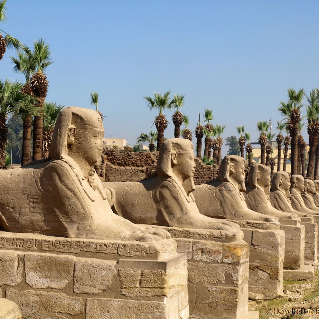 Best time to visit Egypt,
Egypt travel seasons,
Ideal time to visit Egypt,
Weather in Egypt for tourists,
Egypt tourist attractions by season,
Festivals in Egypt,
Best months to visit Egypt,
Egypt travel tips
