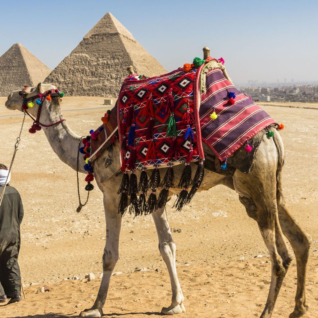 Egypt tours portal reviews,
Best Egypt tour websites,
Top-rated Egypt tour platforms,
Evaluating Egypt tour portals,
Online reviews of Egypt tour websites