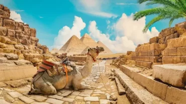 Tour agency near me, Local tour guide, Experience curators, Destination experts, Itinerary artisans, Escapade engineers