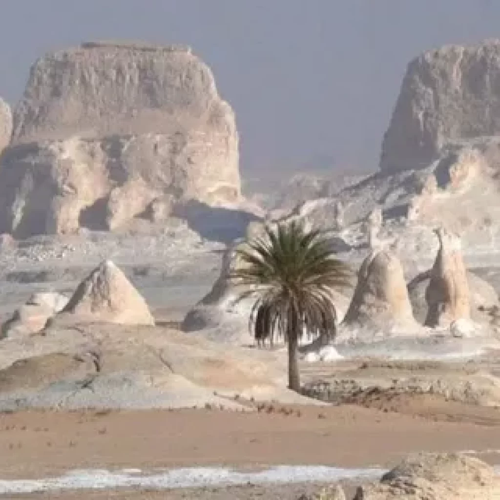Desert in Egypt,
Sahara,
White Desert,
Black Desert,
Western Desert,
Eastern Desert,
Siwa Oasis,
Arid landscapes,
Ancient ruins,
Oases