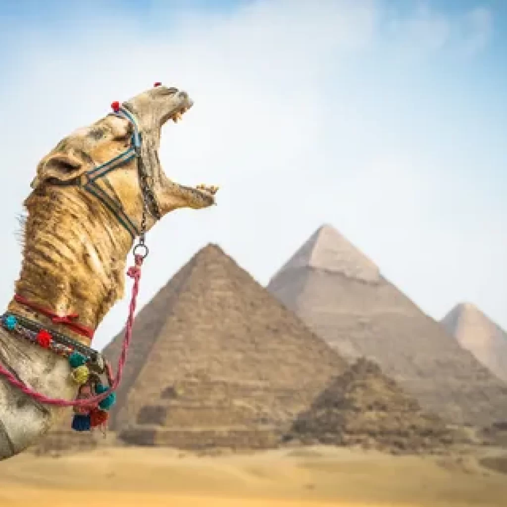 Egypt vacation packages 2024, Ancient wonders of Egypt, Vibrant culture of Egypt, Nile River cruises, Pyramids of Giza, Red Sea resorts, Luxor, the open-air museum, Cultural immersion in Egypt, Historical treasures, Modern Egypt exploration