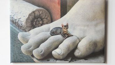 Egyptian Mau, Spotted hunter, Desert dweller, Royal feline, Almond-eyed beauty, Gracious gymnast