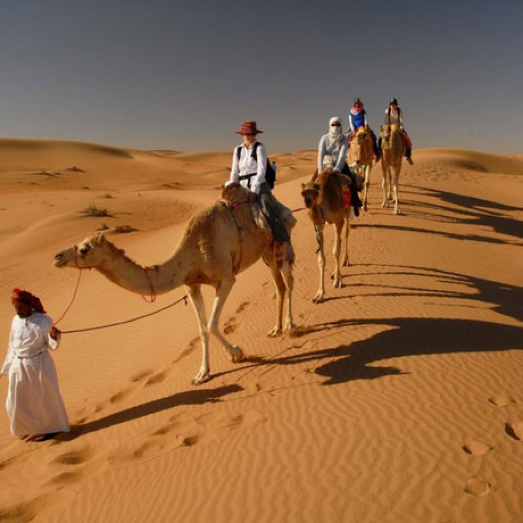 Egypt desert safari,
Sahara Desert adventure,
White Desert exploration,
Black Desert landscape,
Great Sand Sea dunes,
Siwa Oasis retreat,
Bedouin cultural experience,
Camel trekking in Egypt