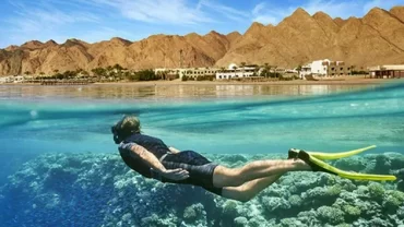 Dahab South Sinai, Blue Hole diving, Bedouin village tours, Eel Garden snorkeling, Sinai hiking trails, Dahab waterfront cafes, Dahab camel rides, Wind and kite surfing Dahab, Dahab coral reefs, Dahab desert excursions, Red Sea marine life