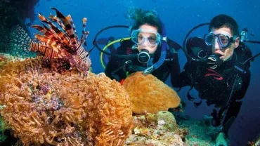 Diving in Egypt, Egypt diving adventure, Red Sea marine life, Sharm El Sheikh dive sites, Hurghada underwater exploration, Dahab Blue Hole diving, Marsa Alam reefs, Egyptian wreck dives, Coral reefs Egypt, Red Sea visibility, Egypt diving certifications