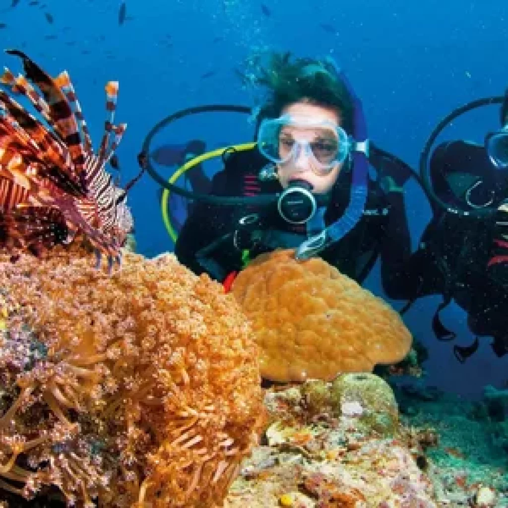 Snorkeling in Egypt,
Underwater enchantment,
Red Sea coral reefs,
Underwater archaeology,
Responsible snorkeling,
Culturally-immersive adventure