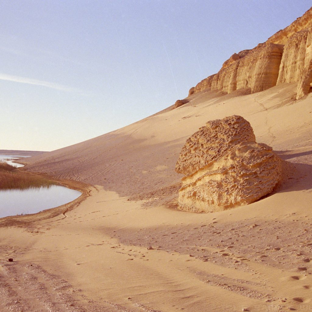 Wadi Al-Hitan,
Fossil Valley,
Eocene Epoch,
Basilosaurus Skeletons,
Dorudon Whales,
Prehistoric Marine Life,
Tethys Sea,
Whale Evolution,
Western Desert Paleontology,
Geological Heritage,
Ancient Ocean Ecosystem