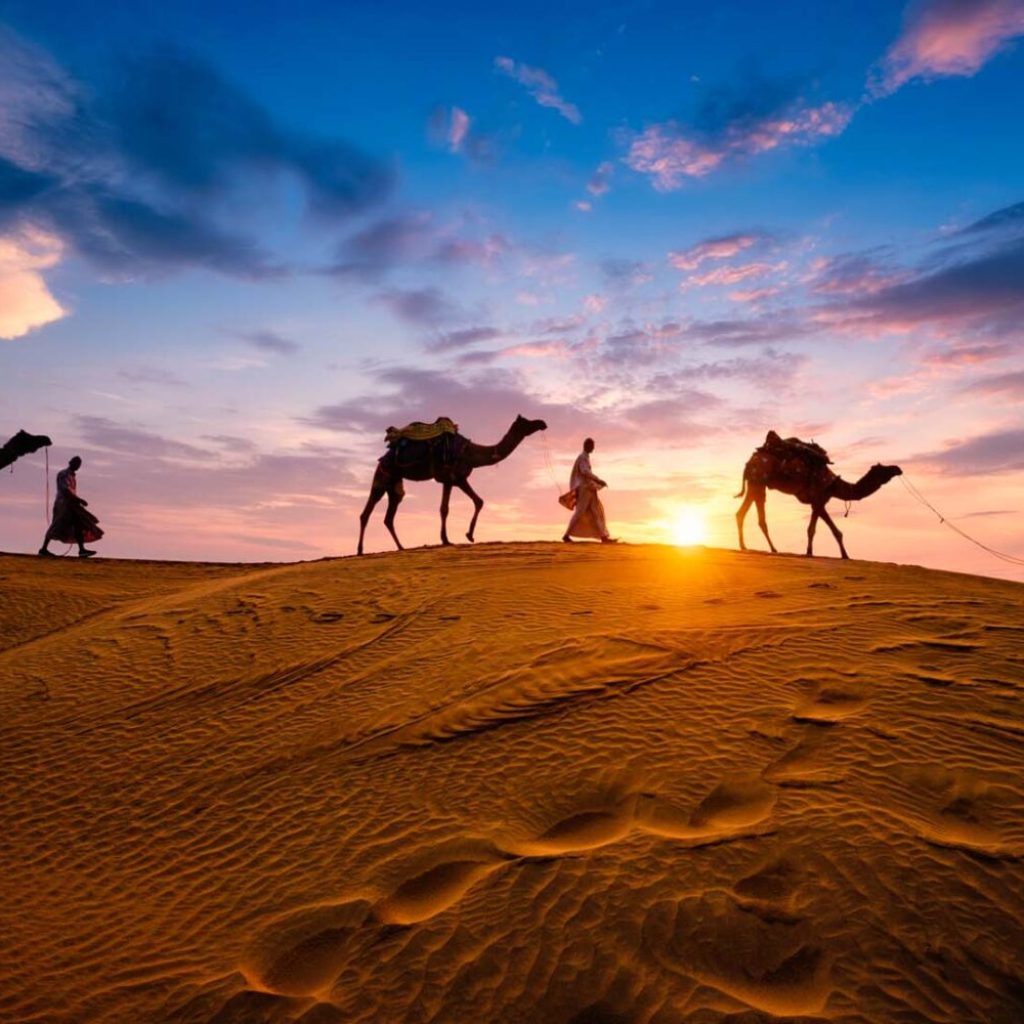 Camel Safaris to Mount Sinai ,
Sinai Desert Trek,
Bedouin Camel Journey,
Moses Mountain Adventure,
Sacred Sinai Expedition,
Biblical Desert Safari,
Sinai Wilderness Ride,
Mount Sinai Pilgrimage,
Desert Trail to Sinai,
Jebel Musa Trekking,
Sinai Nomadic Experience