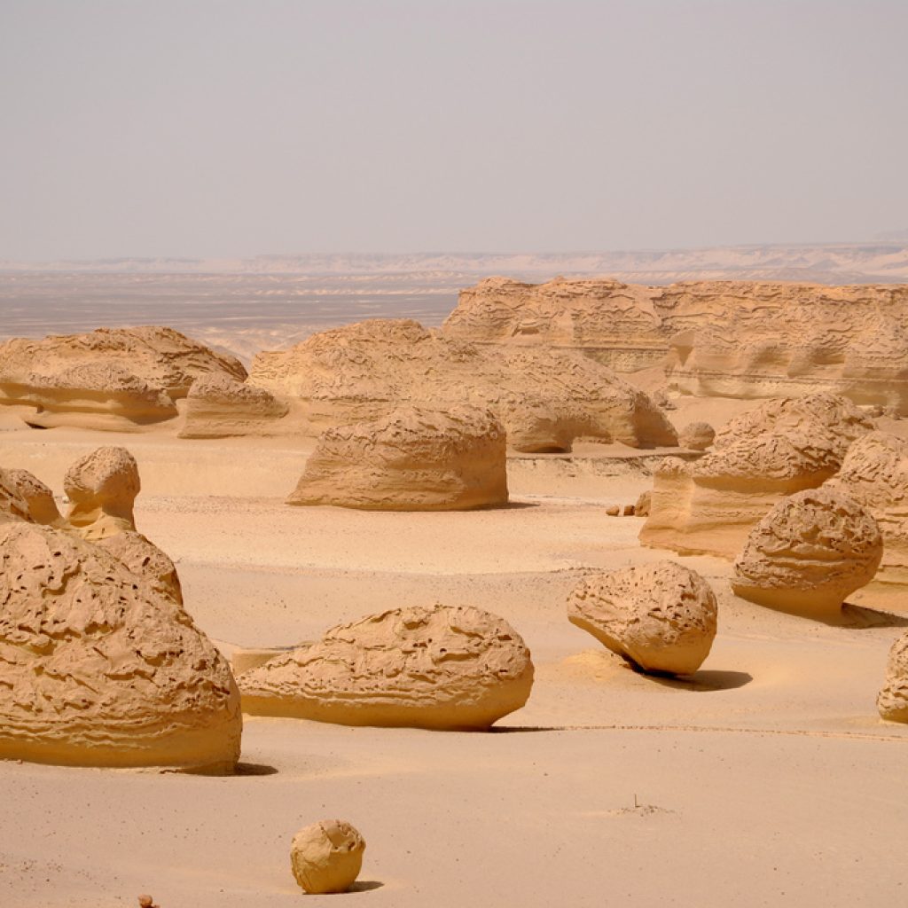 Wadi Al-Hitan,
Fossil Valley,
Eocene Epoch,
Basilosaurus Skeletons,
Dorudon Whales,
Prehistoric Marine Life,
Tethys Sea,
Whale Evolution,
Western Desert Paleontology,
Geological Heritage,
Ancient Ocean Ecosystem