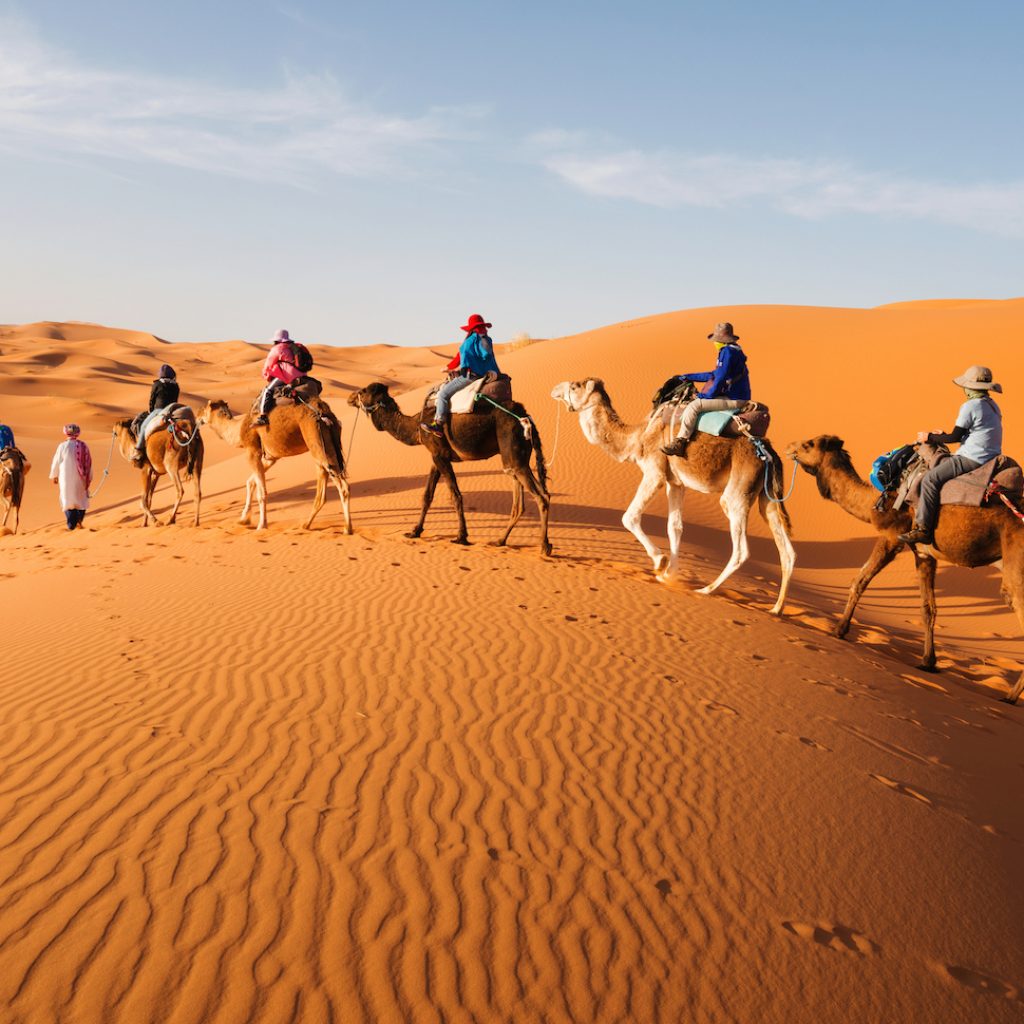 Camel Safaris to Mount Sinai ,
Sinai Desert Trek,
Bedouin Camel Journey,
Moses Mountain Adventure,
Sacred Sinai Expedition,
Biblical Desert Safari,
Sinai Wilderness Ride,
Mount Sinai Pilgrimage,
Desert Trail to Sinai,
Jebel Musa Trekking,
Sinai Nomadic Experience