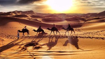 Camel Safaris to Mount Sinai , Sinai Desert Trek, Bedouin Camel Journey, Moses Mountain Adventure, Sacred Sinai Expedition, Biblical Desert Safari, Sinai Wilderness Ride, Mount Sinai Pilgrimage, Desert Trail to Sinai, Jebel Musa Trekking, Sinai Nomadic Experience