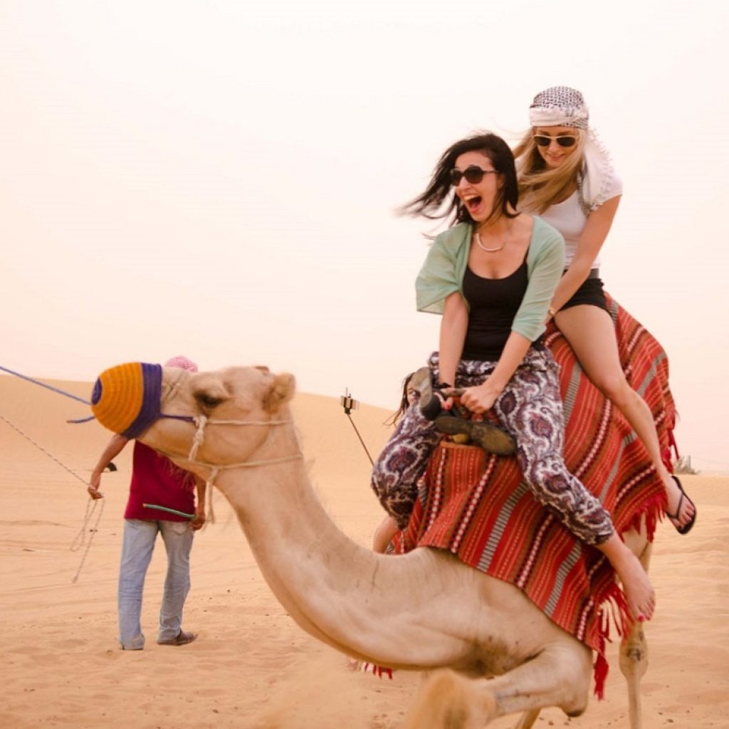 Camel Safaris to Mount Sinai ,
Sinai Desert Trek,
Bedouin Camel Journey,
Moses Mountain Adventure,
Sacred Sinai Expedition,
Biblical Desert Safari,
Sinai Wilderness Ride,
Mount Sinai Pilgrimage,
Desert Trail to Sinai,
Jebel Musa Trekking,
Sinai Nomadic Experience