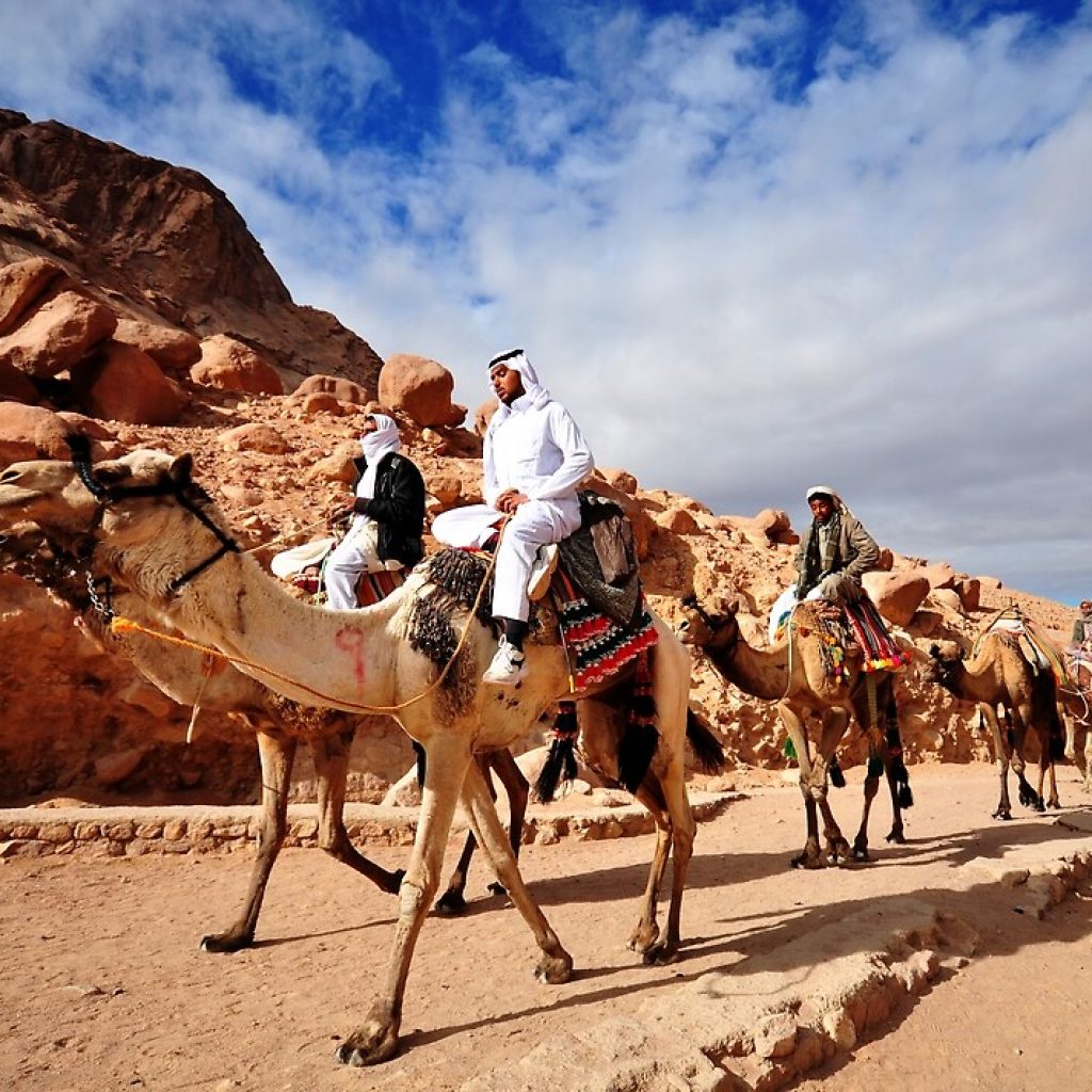 Camel Safaris to Mount Sinai , Sinai Desert Trek, Bedouin Camel Journey, Moses Mountain Adventure, Sacred Sinai Expedition, Biblical Desert Safari, Sinai Wilderness Ride, Mount Sinai Pilgrimage, Desert Trail to Sinai, Jebel Musa Trekking, Sinai Nomadic Experience