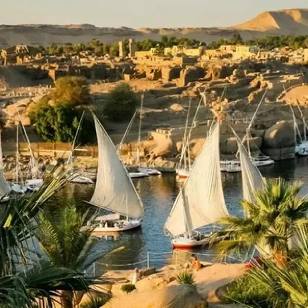 Cairo and nile,
Cairo history,
Nile river,
Egyptian culture,
Cairo landmarks,
Nile economy,
Nile cruises,
Cairo tourism,
Nile Delta,
Ancient Cairo,
Modern Cairo
