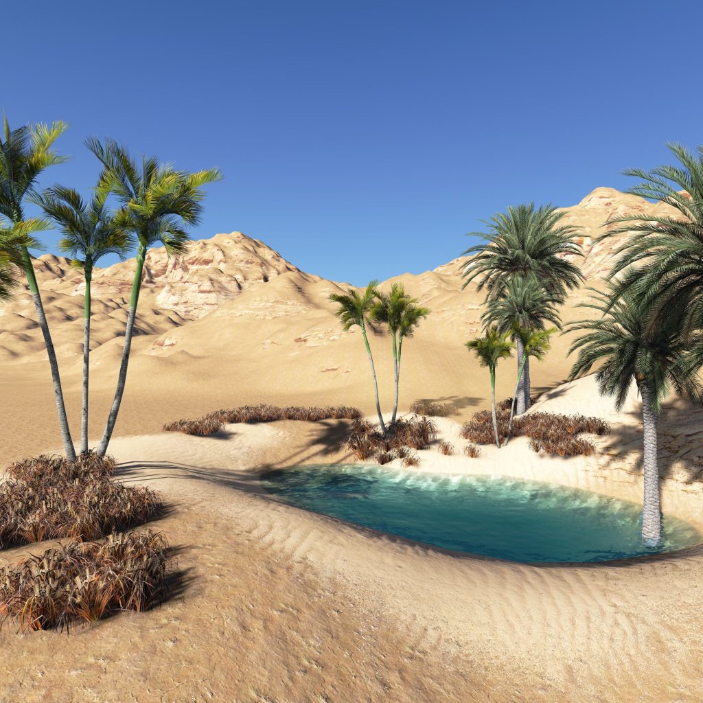 Oasis,
Desert refuge,
Water source,
Green sanctuary,
Fertile desert land,
Oasis ecosystem,
Desert flora,
Natural springs,
Bedouin culture,
Desert agriculture,
Oases in Egypt
