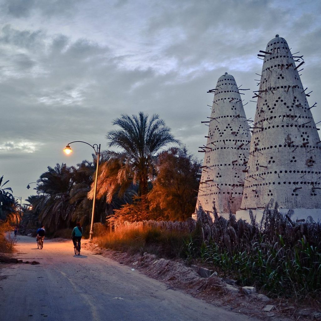 Oasis, Desert refuge, Water source, Green sanctuary, Fertile desert land, Oasis ecosystem, Desert flora, Natural springs, Bedouin culture, Desert agriculture, Oases in Egypt