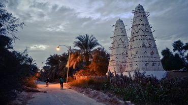 Oasis, Desert refuge, Water source, Green sanctuary, Fertile desert land, Oasis ecosystem, Desert flora, Natural springs, Bedouin culture, Desert agriculture, Oases in Egypt