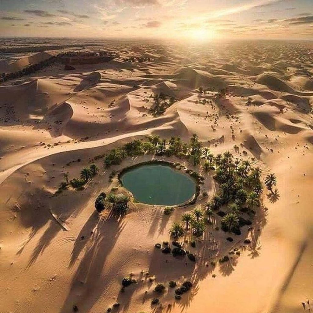 Oasis,
Desert refuge,
Water source,
Green sanctuary,
Fertile desert land,
Oasis ecosystem,
Desert flora,
Natural springs,
Bedouin culture,
Desert agriculture,
Oases in Egypt
