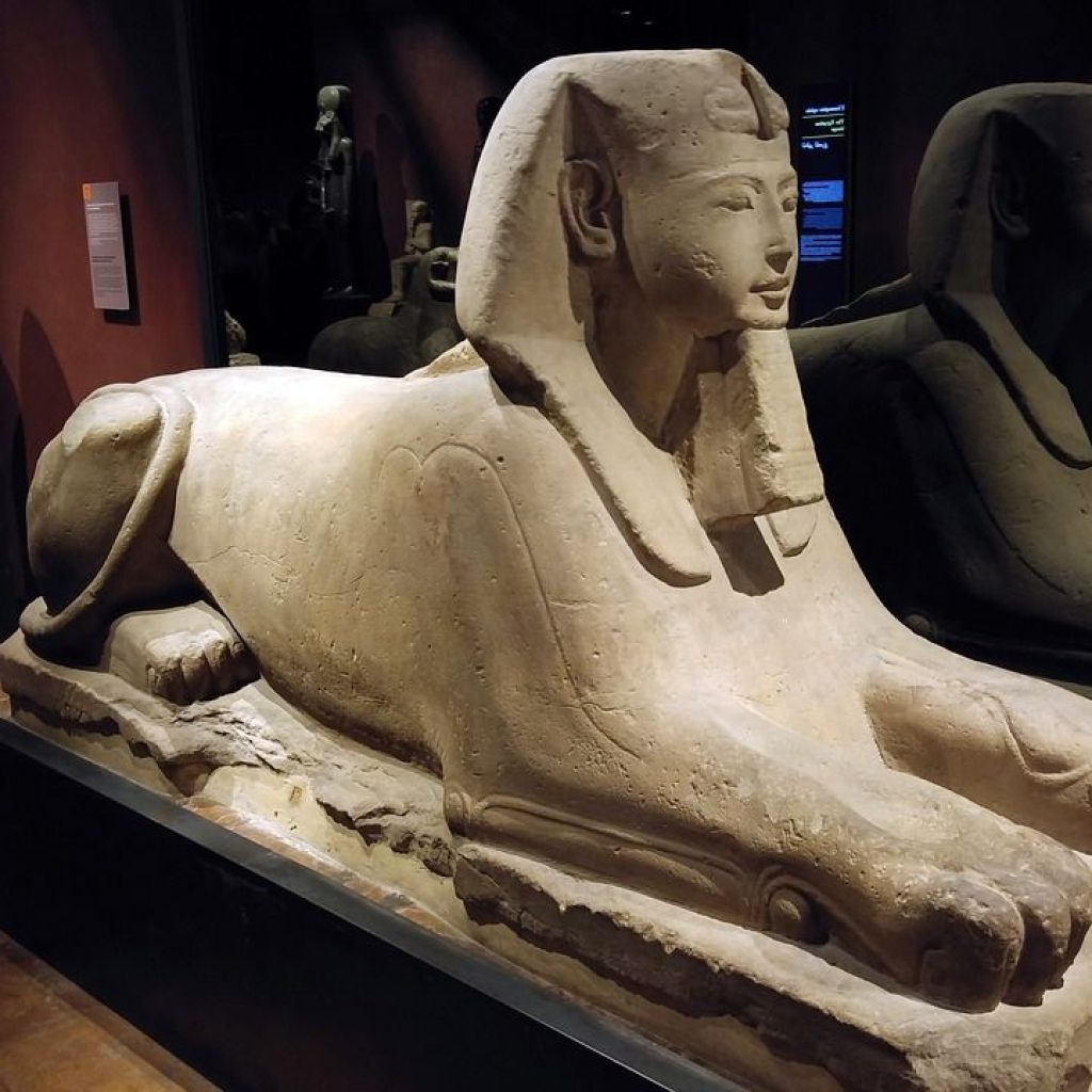 The Egyptian Museum in Cairo, 
Cairo artifact collection,
Pharaonic history Cairo,
Tutankhamun treasures Cairo,
Royal Mummy exhibit,
Neoclassical museum Cairo,
Ancient Egypt museum tour,
Tahrir Square museum,
Amarna period artifacts,
Egyptian civilization relics,
King Tut mask Cairo