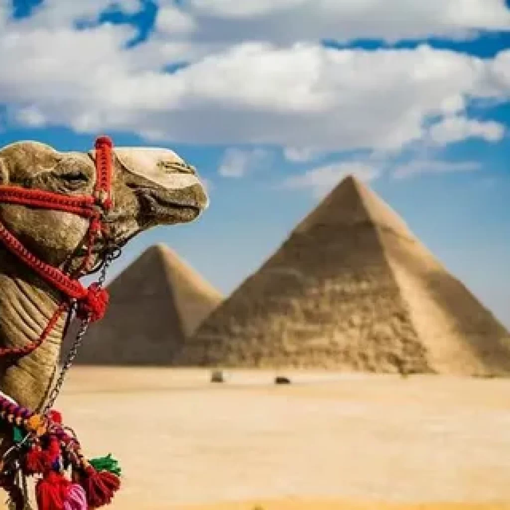 First Time in Egypt 2024,
Egypt travel guide,
First-time Egypt traveler,
Egyptian cultural experiences,
Egypt tourist tips,
Best attractions in Egypt,
Must-see Egypt landmarks,
Beginner’s guide to Egypt,
Egypt vacation for beginners,
New to Egypt travel